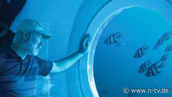 Für 120 Tage - Weltrekord: Deutscher lebt und arbeitet in Unterwasserwohnung