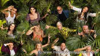 Dschungelcamp 2025 startet mit technischen Problemen – das sagt RTL