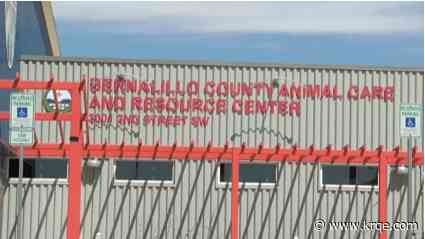 Bernco Animal Welfare asking for $1 million in capital outlay