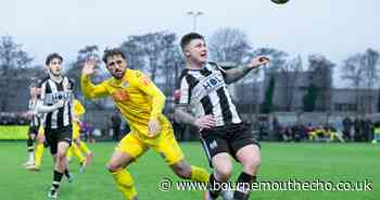 Trip along coast for Poole while Wimborne head to Devon: Non-league preview