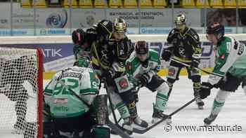 Töwen Löwen rutschen auf Rang sechs ab