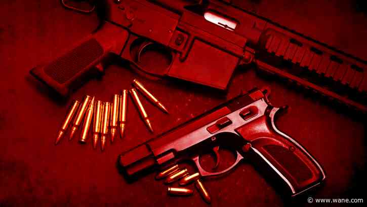 Indiana lawmakers consider changes to existing 'Red Flag Law' records