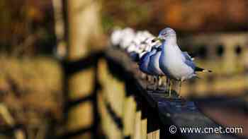 Best Internet Providers in Metairie, Louisiana