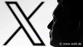 Musk unzufrieden mit X – „Wir kommen kaum über die Runden“