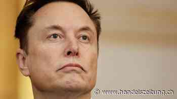 Bericht: Musk unzufrieden mit X-Geschäft