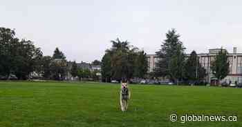‘They killed our town square’: Anger over fenced-off East Vancouver park fields