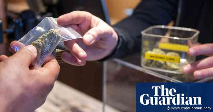 Bacteria and pesticides found in cannabis sold in Dutch coffee shops