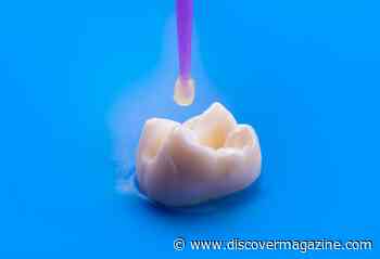 Regrowing Teeth Is on the Horizon and May Represent the Future of Dentistry
