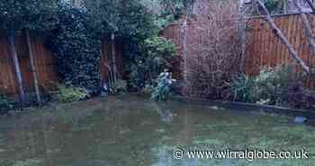 Woman blames development for back garden flooding