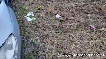 112-nieuws: automobilist betrapt of dumpen afval • aanrijding op het spoor