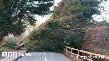 Disruption as Yorkshire battered by Storm Éowyn