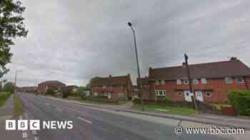 Elderly pedestrian dies after van crash