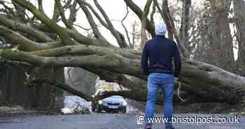 Storm Eowyn winds drop but Met Office warns of rain and floods ahead