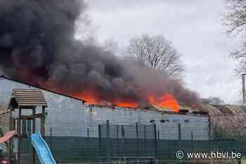 Uitslaande brand in garage in Kleine Spouwen: brand na anderhalf uur onder controle