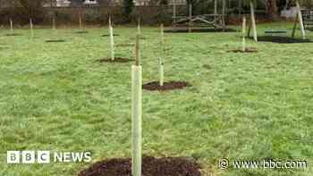 Work under way to plant 20 community orchards