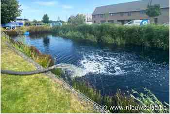 Oorzaak vervuiling bufferbekken aan James Ensorplein blijft mysterie