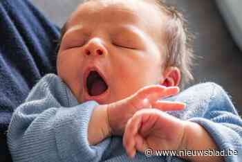 Leuvense ziekenhuizen brengen maar liefst 3.555 kinderen ter wereld, twee maanden zijn de drukste van het jaar