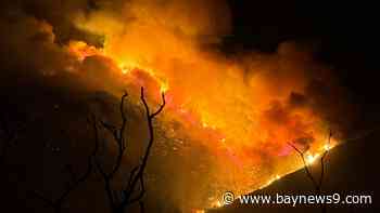 Brush fire spreads to 6,500 acres near U.S.-Mexico border in San Diego County