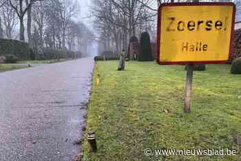 Inwoners villawijk riskeren GAS-boete als ze obstakels op openbare berm laten staan: “Gaat Zoersel dan voor onderhoud zorgen?”