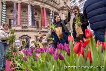 Operaplein stampvol met tulpenplukkers voor zesde editie van Pluktuin: “Zo staat dit kale betonnen plein toch eens in bloei”