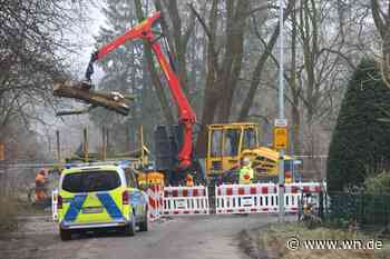 Ist die Rodung am Kanal noch vertretbar?