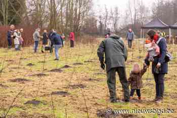 Kinderen leggen gloednieuw Koekoeksbos aan: “Elke boorling uit Aartselaar moet een boompje krijgen”