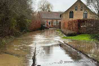 Hoge waterstanden in Pajottenland en Zennevallei: gemeenten volgen situatie op de voet