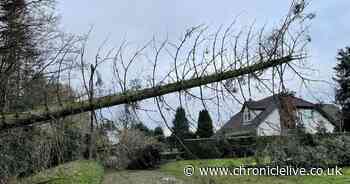 Storm Eowyn 'probably the strongest to hit UK in at least 10 years', says Met Office