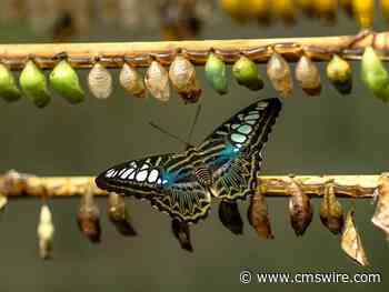 Interoperability’s Role in Creating a Successful Digital Transformation Strategy