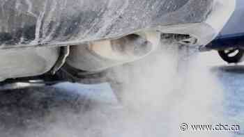 Carbon monoxide poisoning suspected in deaths of man, 84, dog found in car stuck in snow: Winnipeg police