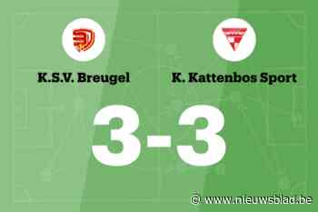 Kattenbos sleept gelijkspel uit de brand in de uitwedstrijd tegen SV Breugel