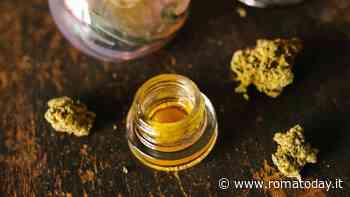 La 'droga dell'euforia'. La Wax il  miele dello sballo che spopola tra i giovani a Roma