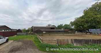 Weekly planning proposals include new homes and outbuildings