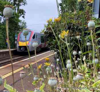 Gardens bloom at Greater Anglia railway stations