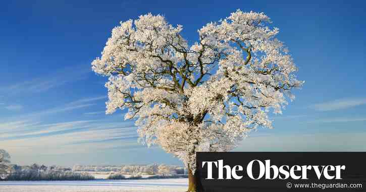 Winter wonder: Jeanette Winterson and others reveal why the cold has them under its spell