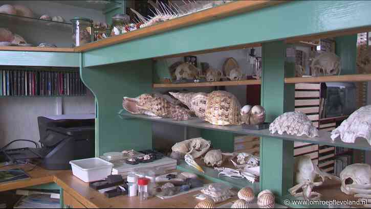 Lelystad - Even geen tijd voor mini-schelpenmuseum, slakken en mosselen gaan voor