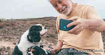 DWP warns older people born in these years could be missing out on £880 a month