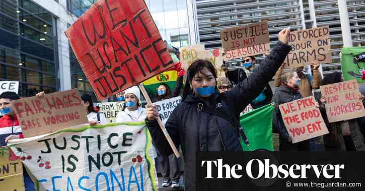 Protests by fruit pickers and farmers put spotlight on price of cheap food in UK