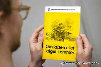 Europe braces for 'most extreme' military scenario as Trump-Putin 2.0 begins