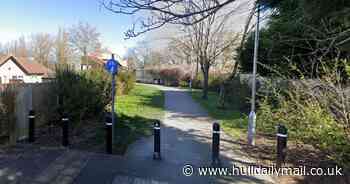 Boys, 14, 'shaken' after being 'assaulted and threatened' by five teenagers in Hull