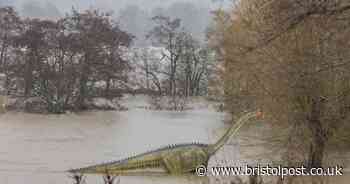 The time a dinosaur was spotted in the River Avon near Bristol