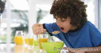 Food portion sizes for children as warning issued - how much cereal, pasta, rice, meat and cheese to eat