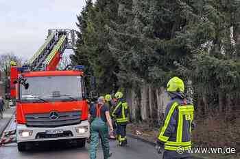 Unbekannte sägen in Hiltrup Bäume an – Feuerwehr muss eingreifen