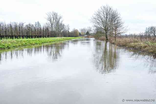 Morgen kans op overstromingen in Limburg: “Voorlopig geen huizen bedreigd, maar zal nipt worden”