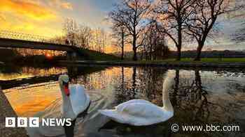 Your photos: A cold and misty week