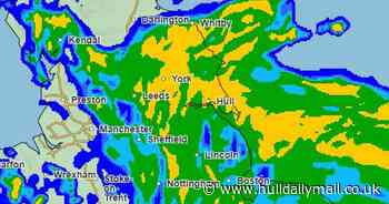 Met Office issues two weather warnings with more wind and rain on the way to East Yorkshire