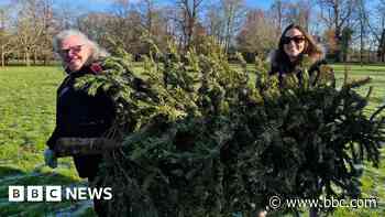 Tree recycling raises thousands for charity