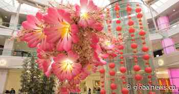 Recipe: Celebration Noodles 