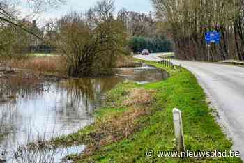 Nieuwe weg naar Alken-Maes stuit op protest bij buren: “Compleet idioot in waterrijk gebied”