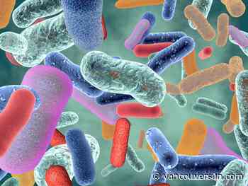Just how good is your gut health? A Canadian nutrition expert weighs in